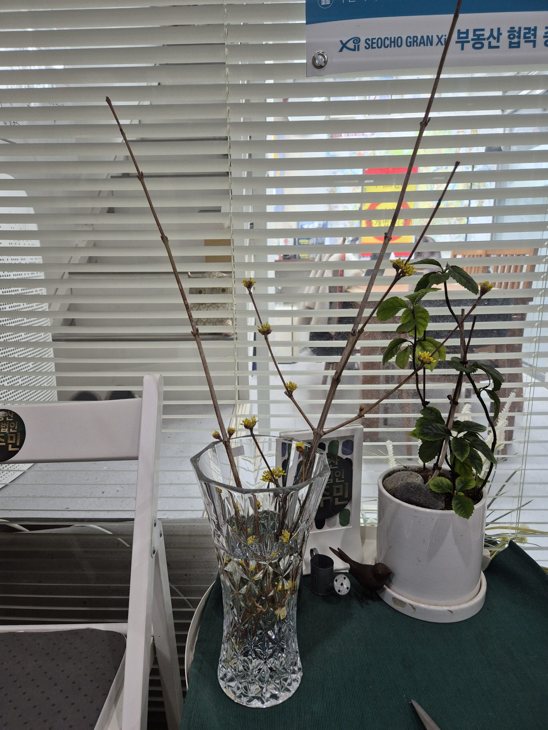 빼앗긴 들에도 봄은 오는가